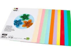 Papier cartonné liderpapel a4 180g/m2 10 coloris assortis paquet 100f