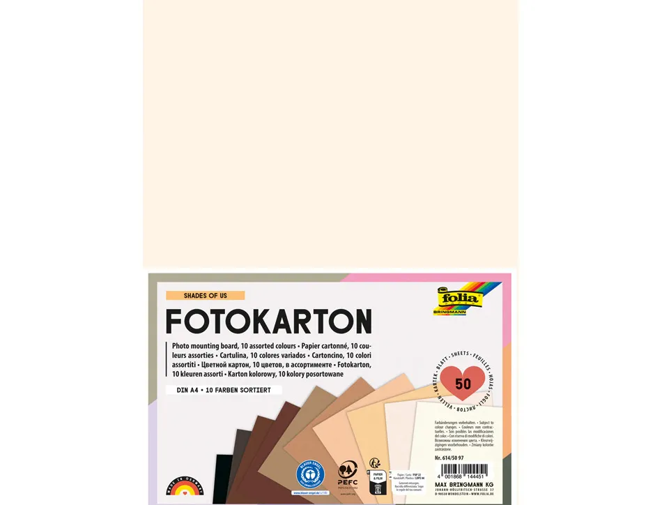 Papier cartonne folia shades of us din a4 300gr coloris assortis paquet 50 feuilles