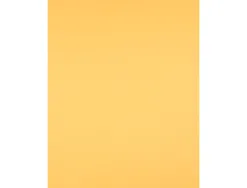 Papier cartonne liderpapel 50x65cm 180gr coloris or paquet 25 feuilles