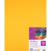 Papier cartonne liderpapel 50x65cm 180gr coloris vieil or paquet 25 feuilles