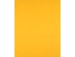 Papier cartonne liderpapel 50x65cm 180gr coloris vieil or paquet 25 feuilles