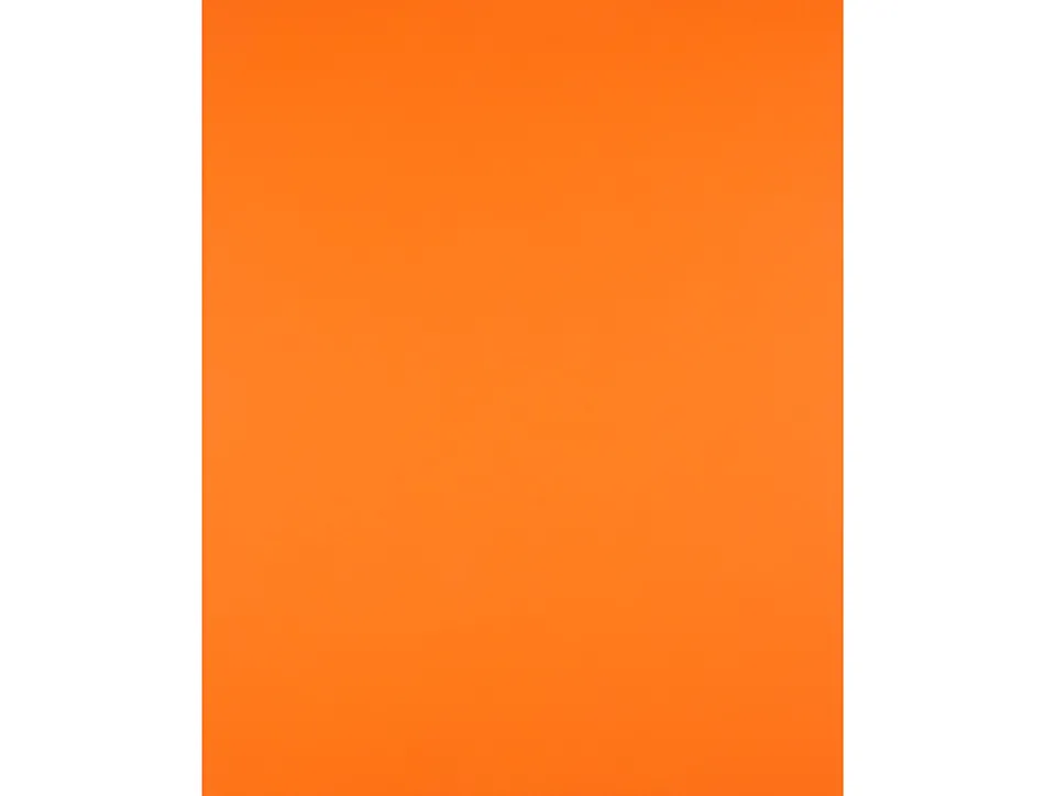 Papier cartonne liderpapel 50x65cm 240gr coloris orange paquet 25 feuilles