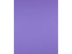 Papier cartonne liderpapel 50x65cm 180gr coloris pourpre