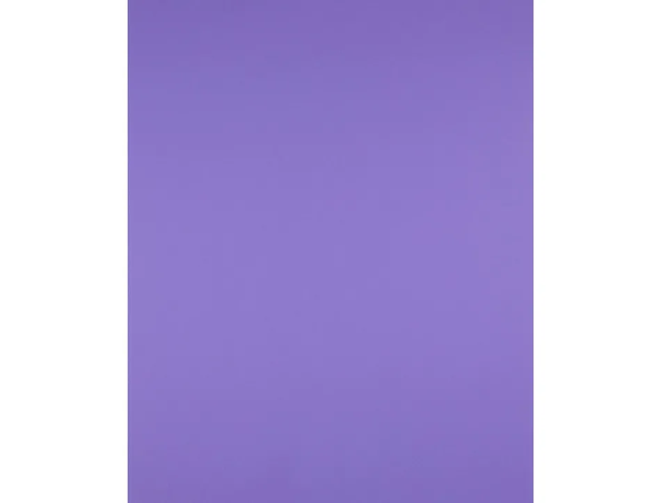 Papier cartonne liderpapel 50x65cm 180gr coloris pourpre
