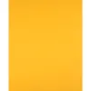 Papier cartonne liderpapel 50x65cm 240gr coloris vieil or
