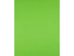 Papier cartonne liderpapel 50x65cm 180gr coloris vert pistache paquet 25 feuilles