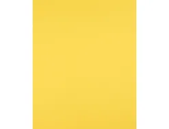Papier cartonne liderpapel 50x65cm 180gr coloris jaune citron paquet 25 feuilles