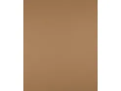 Papier cartonne liderpapel 50x65cm 180gr coloris marron clair