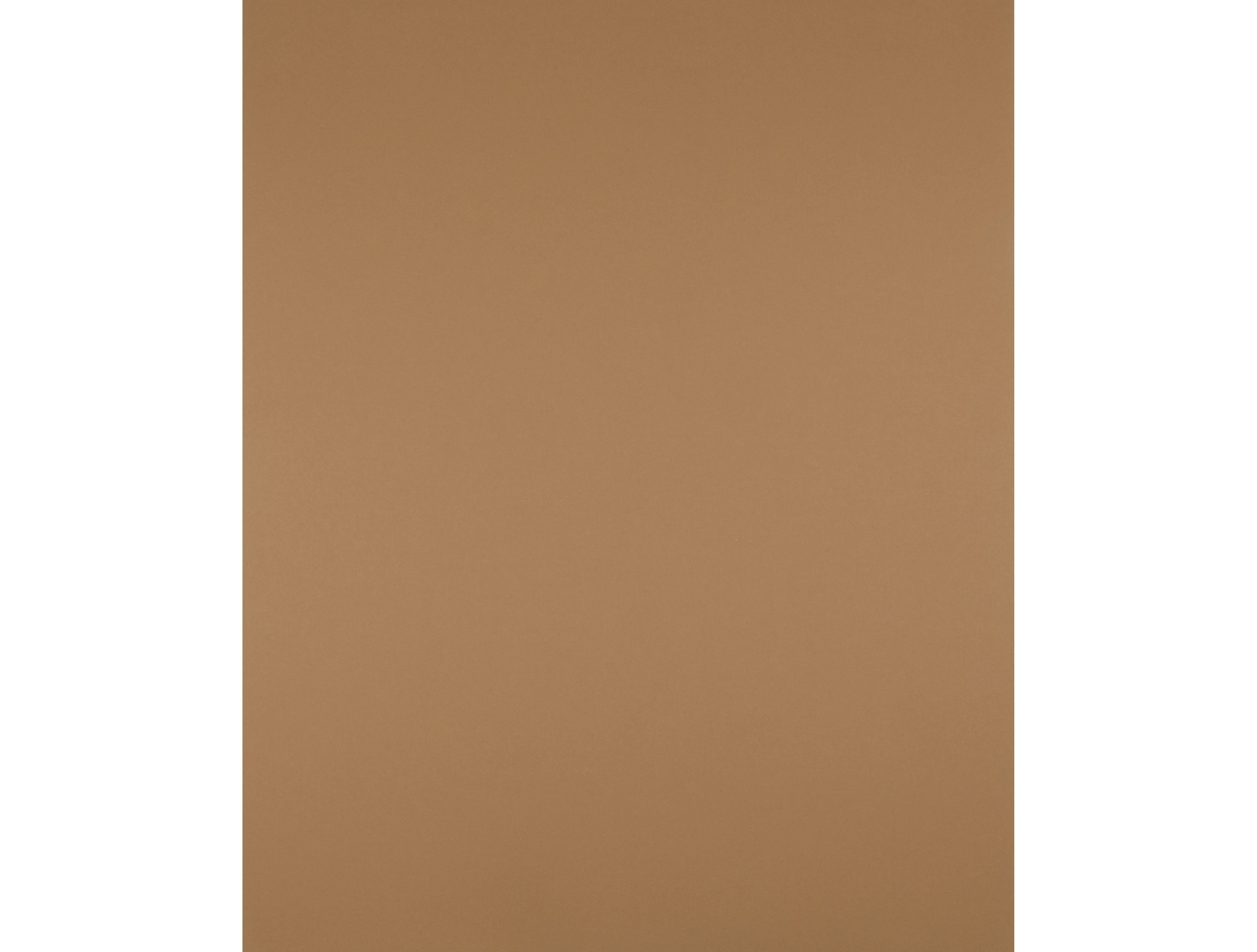 Papier cartonne liderpapel 50x65cm 180gr coloris marron clair