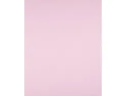 Papier cartonne liderpapel 50x65cm 240gr coloris rose paquet 25 feuilles