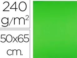 Papier cartonne liderpapel 50x65cm 240gr coloris vert herbe paquet 25 feuilles