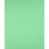 Papier cartonne liderpapel 50x65cm 180gr coloris vert herbe paquet 25 feuilles