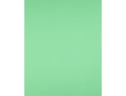 Papier cartonne liderpapel 50x65cm 180gr coloris vert herbe paquet 25 feuilles