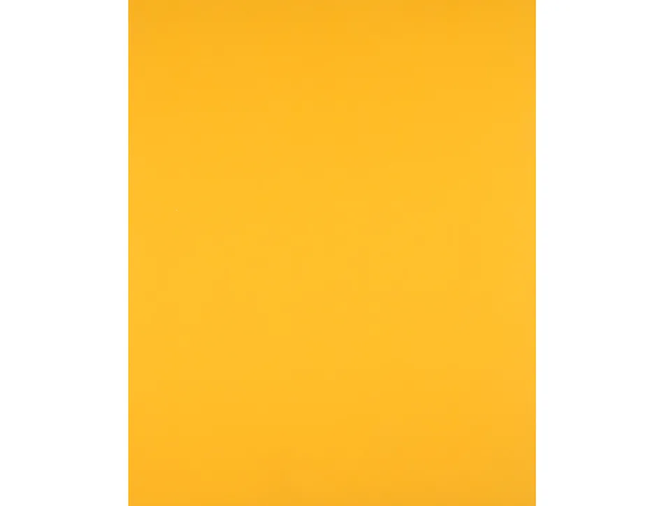 Papier cartonne liderpapel 50x65cm 240gr coloris vieil or paquet 25 feuilles