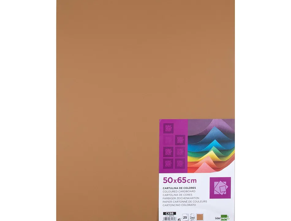 Papier cartonne liderpapel 50x65cm 240gr coloris marron clair paquet 25 feuilles