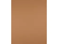Papier cartonne liderpapel 50x65cm 240gr coloris marron clair paquet 25 feuilles