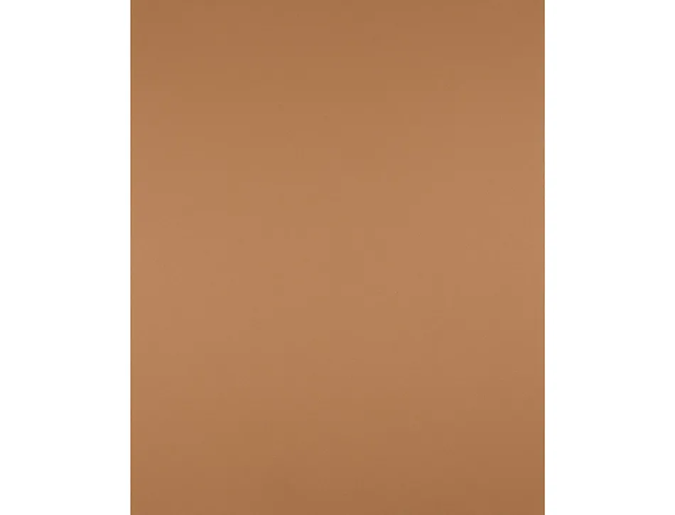 Papier cartonne liderpapel 50x65cm 240gr coloris marron clair paquet 25 feuilles