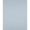Papier cartonne liderpapel 50x65cm 240gr coloris gris paquet 25 feuilles