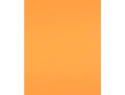 Papier cartonne liderpapel 50x65cm 180gr coloris nectarine