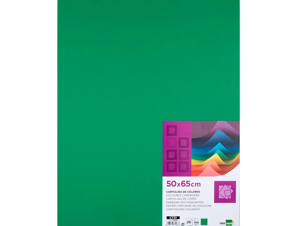 Papier cartonne liderpapel 50x65cm 240gr coloris vert noel paquet 25 feuilles