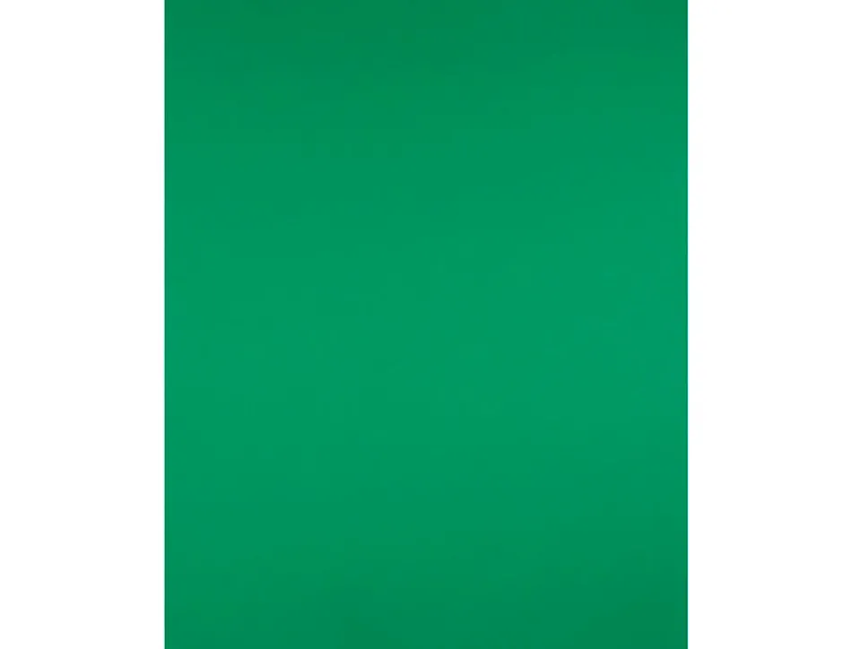 Papier cartonne liderpapel 50x65cm 240gr coloris vert noel paquet 25 feuilles