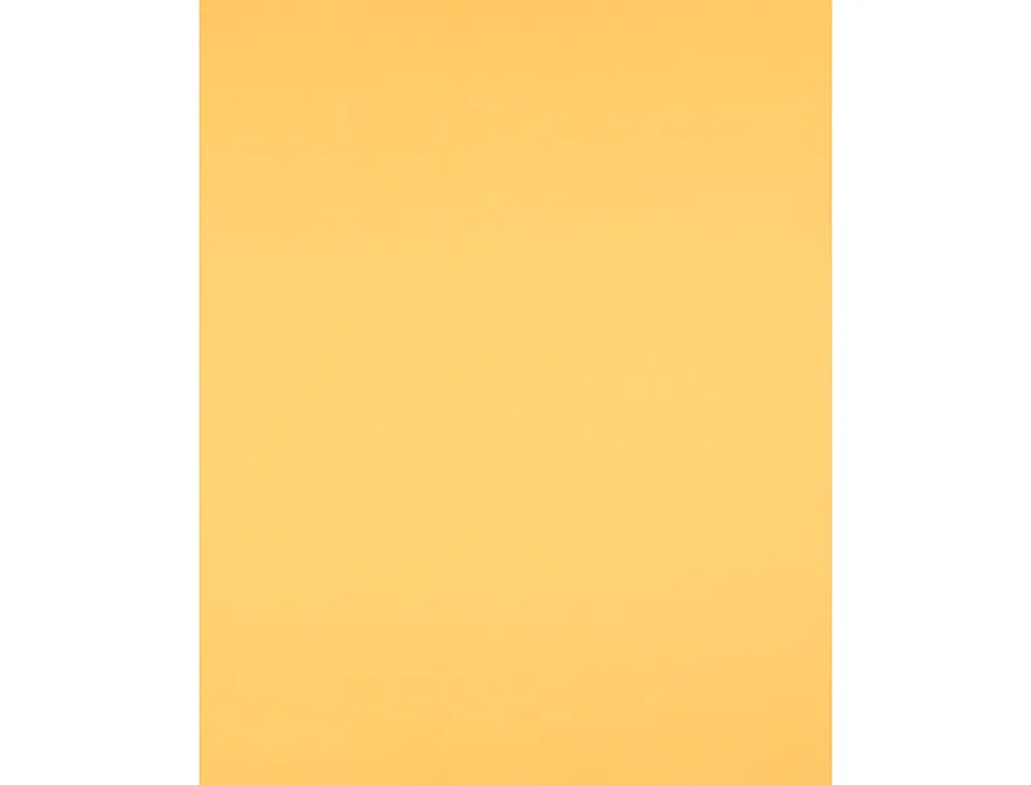 Papier cartonne liderpapel 50x65cm 240gr coloris or paquet 25 feuilles