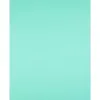 Papier cartonne liderpapel 50x65cm 240gr coloris vert paquet 25 feuilles