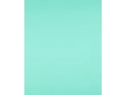 Papier cartonne liderpapel 50x65cm 240gr coloris vert paquet 25 feuilles