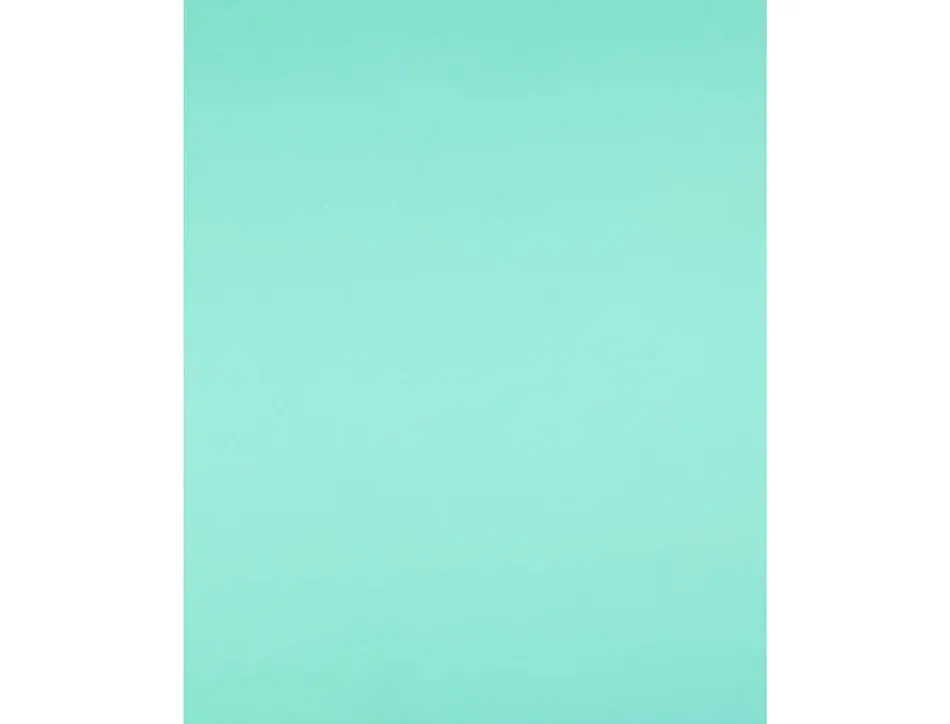Papier cartonne liderpapel 50x65cm 240gr coloris vert paquet 25 feuilles