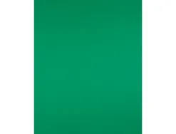 Papier cartonne liderpapel 50x65cm 180gr coloris vert noel