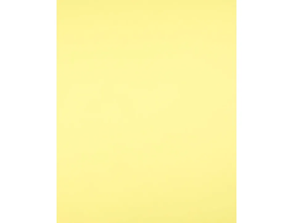 Papier cartonne liderpapel 50x65cm 180gr coloris jaune clair paquet 25 feuilles