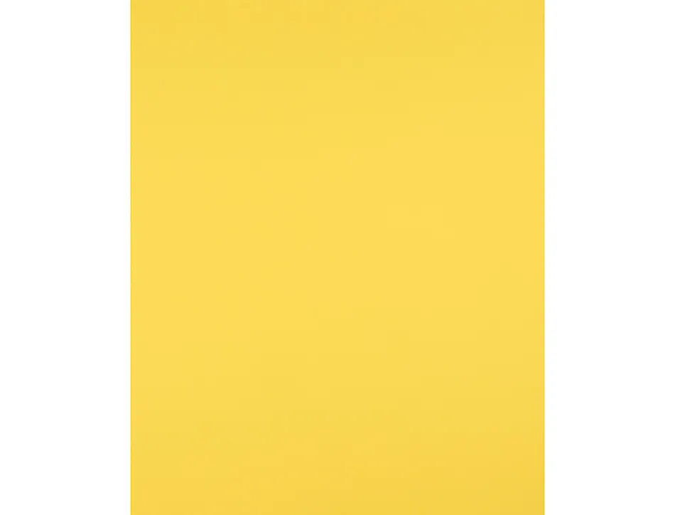 Papier cartonne liderpapel 50x65cm 240gr coloris jaune citron paquet 25 feuilles