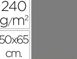 Papier cartonne liderpapel 50x65cm 240gr coloris gris