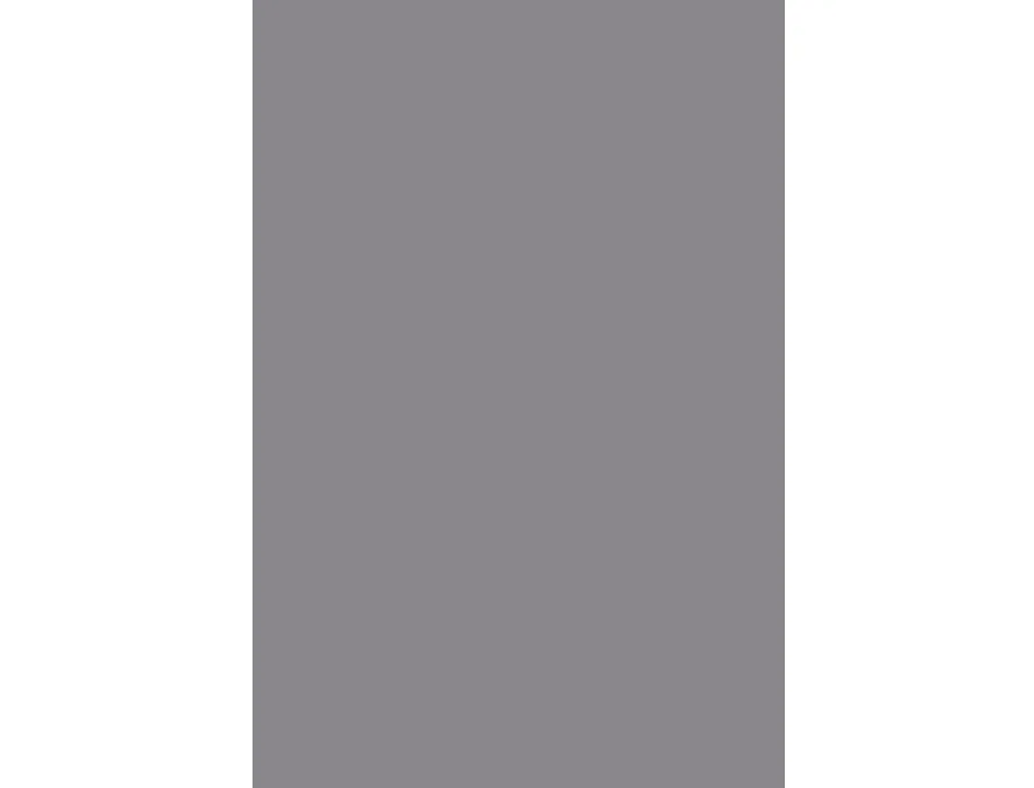 Papier cartonne liderpapel 50x65cm 240gr coloris gris