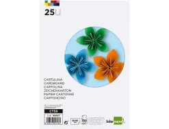 Papier cartonne liderpapel 50x65cm 180gr coloris assortis paquet 25 feuilles