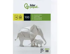 Papier cartonne liderpapel a4 240gr coloris blanc paquet 100 feuilles