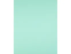 Papier cartonne liderpapel 50x65cm 180gr coloris vert paquet 25 feuilles