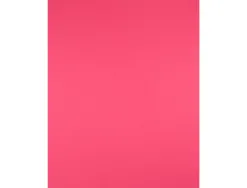 Papier cartonne liderpapel 50x65cm 180gr coloris fuchsia paquet 25 feuilles