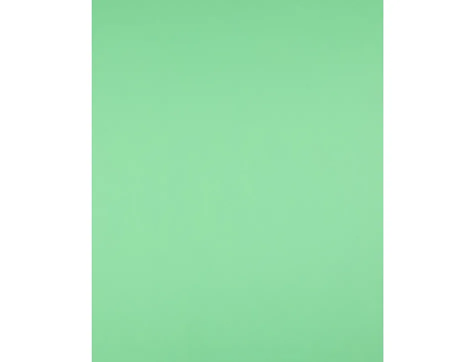 Papier cartonne liderpapel 50x65cm 180gr coloris vert pistache