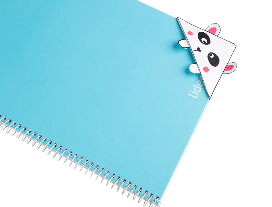 Papier cartonne liderpapel 50x65cm 180gr coloris blanc paquet 25 feuilles