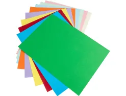 Papier cartonne liderpapel a4 180gr coloris assortis paquet 100 feuilles