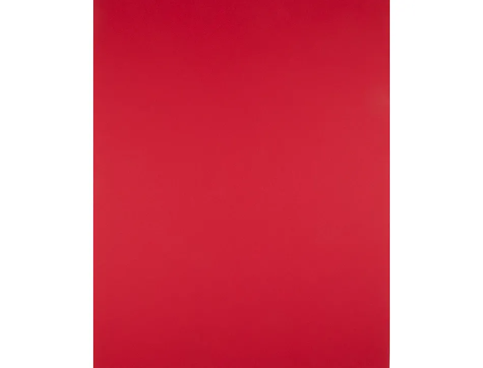 Papier cartonne liderpapel 50x65cm 240gr coloris rouge noel paquet 25 feuilles