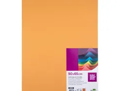 Papier cartonne liderpapel 50x65cm 180gr coloris noisette paquet 25 feuilles
