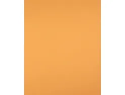 Papier cartonne liderpapel 50x65cm 180gr coloris noisette paquet 25 feuilles