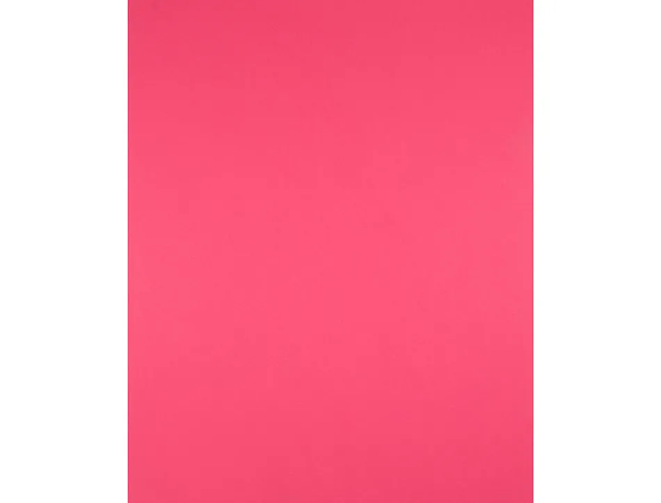 Papier cartonne liderpapel 50x65cm 240gr coloris fuchsia paquet 25 feuilles