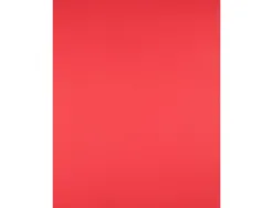 Papier cartonne liderpapel 50x65cm 240gr coloris rouge paquet 25 feuilles