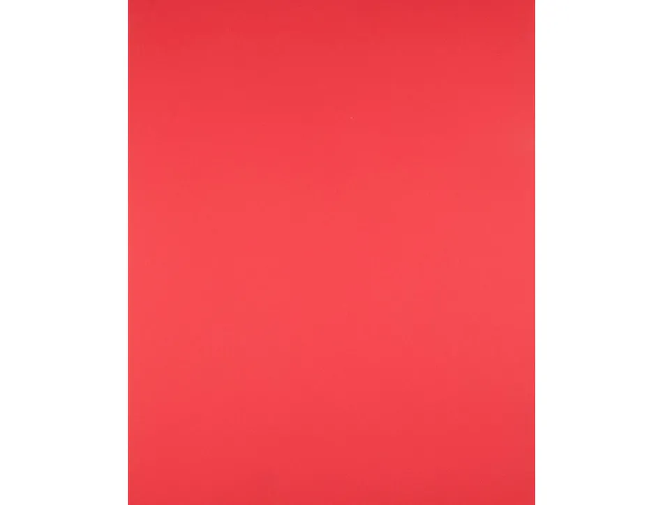 Papier cartonne liderpapel 50x65cm 240gr coloris rouge paquet 25 feuilles