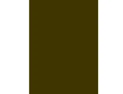 Papier cartonne liderpapel 50x65cm 240gr coloris marron clair