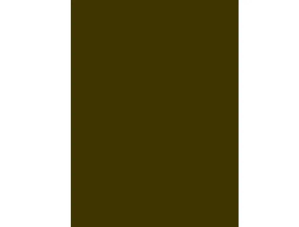 Papier cartonne liderpapel 50x65cm 240gr coloris marron clair
