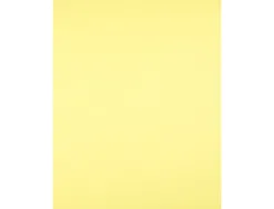 Papier cartonne liderpapel 50x65cm 240gr coloris jaune paquet 25 feuilles